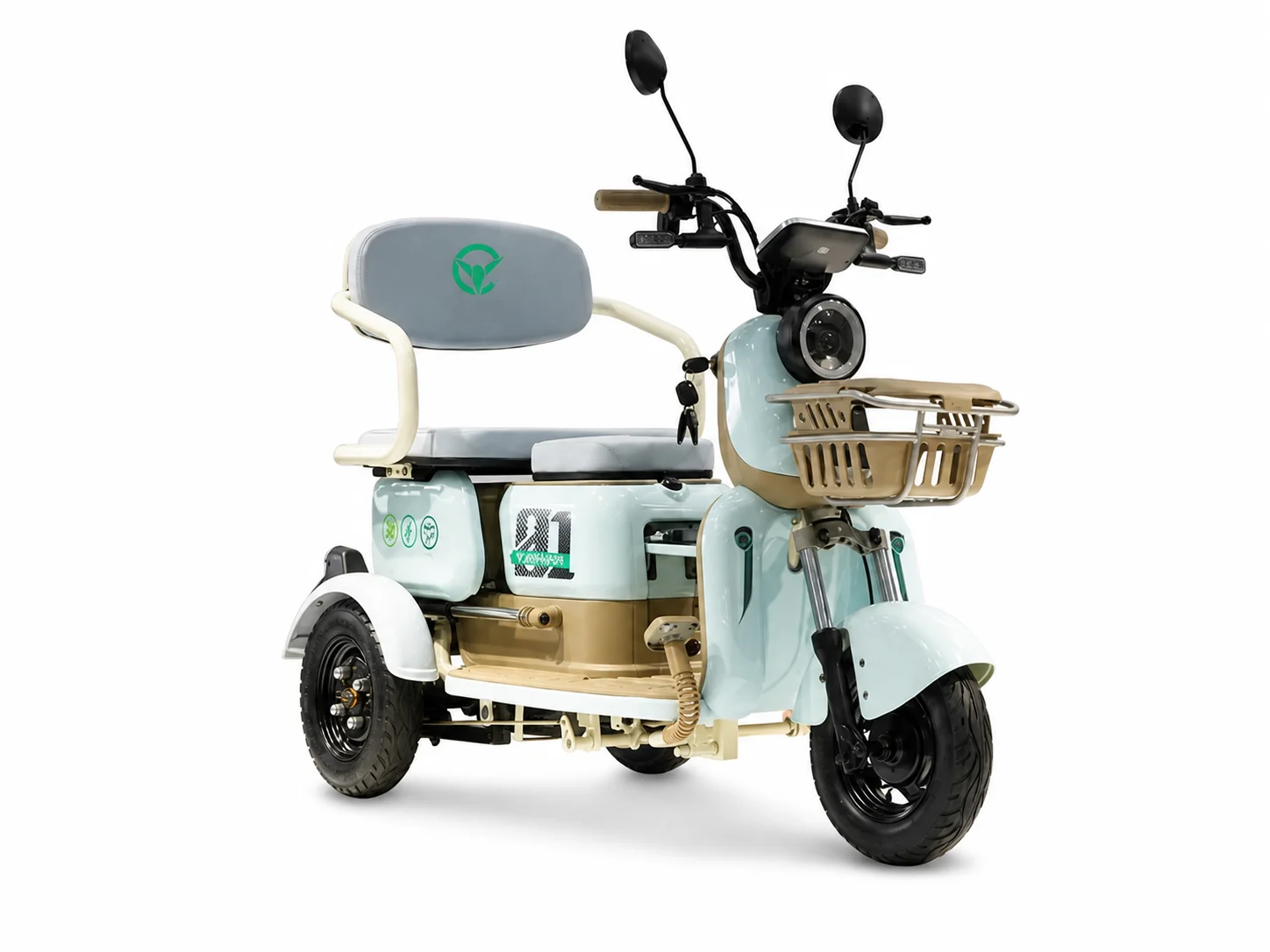 CYT939 Electric Mobility Vehicle