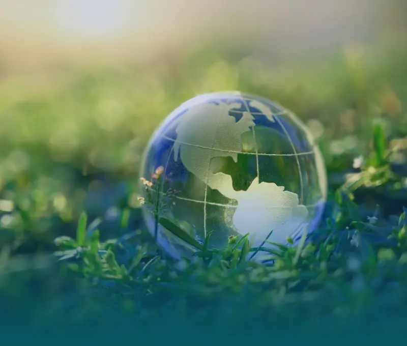 Sustainability